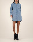 Rooney Button Front Long Sleeve Shirt Dress