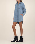 Rooney Button Front Long Sleeve Shirt Dress