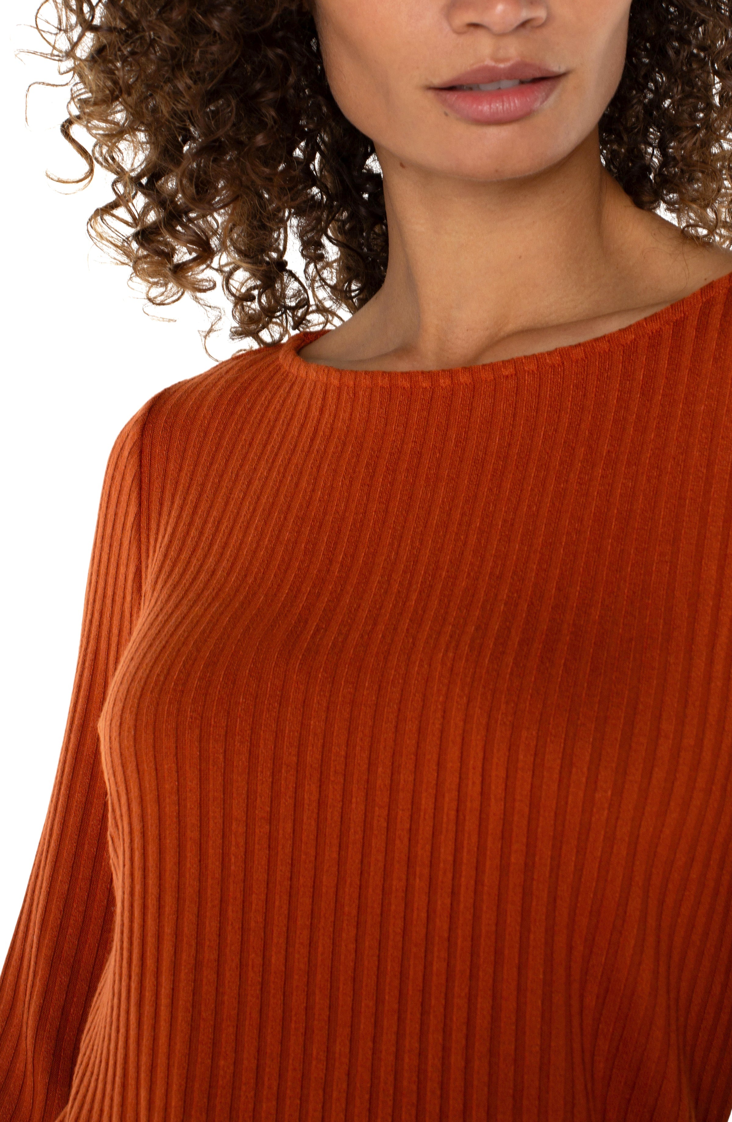 LC Long Sleeve Boat Neck Knit Top Cedar