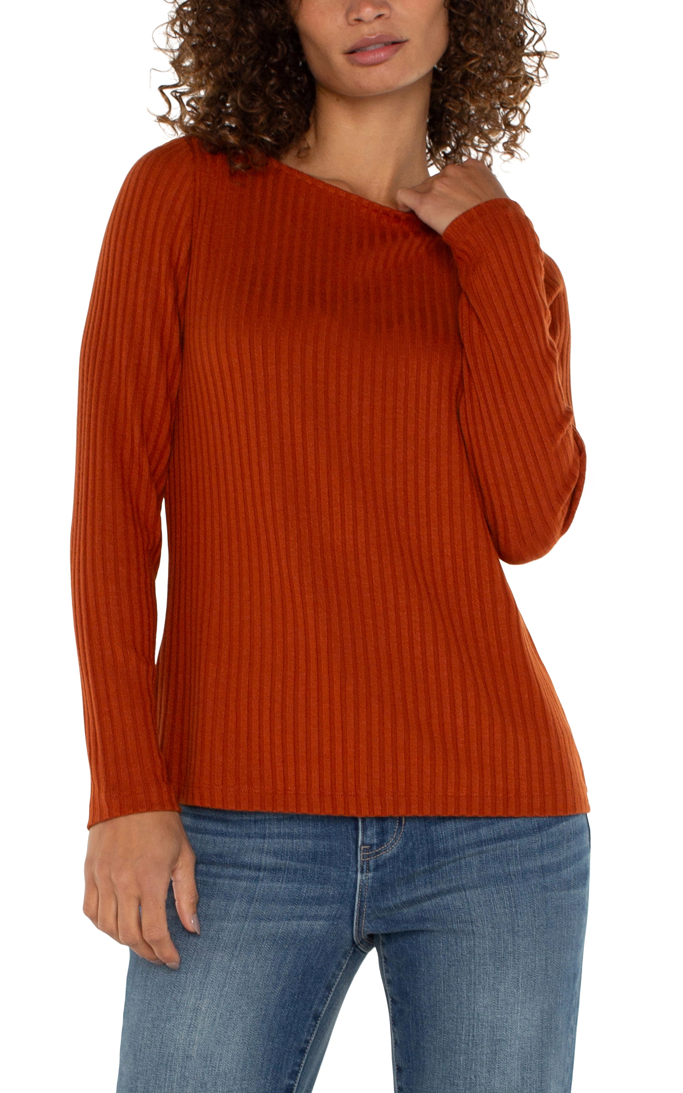 LC Long Sleeve Boat Neck Knit Top Cedar