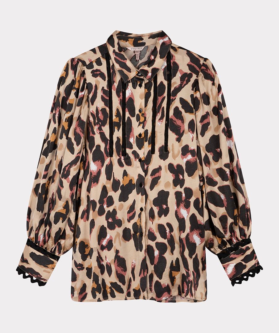 Puffy Sleeve Blouse