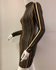 Metallic Stripe Mock Neck Dress